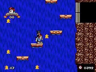 Game Over: Animaniacs (Sega Genesis)