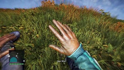 Far Cry 4 Golden Pipe of Kyrat (Secret Item)