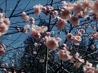 American Farm Life - 1950's Educational Film "Patty Garman Little Helper" - S88TV1