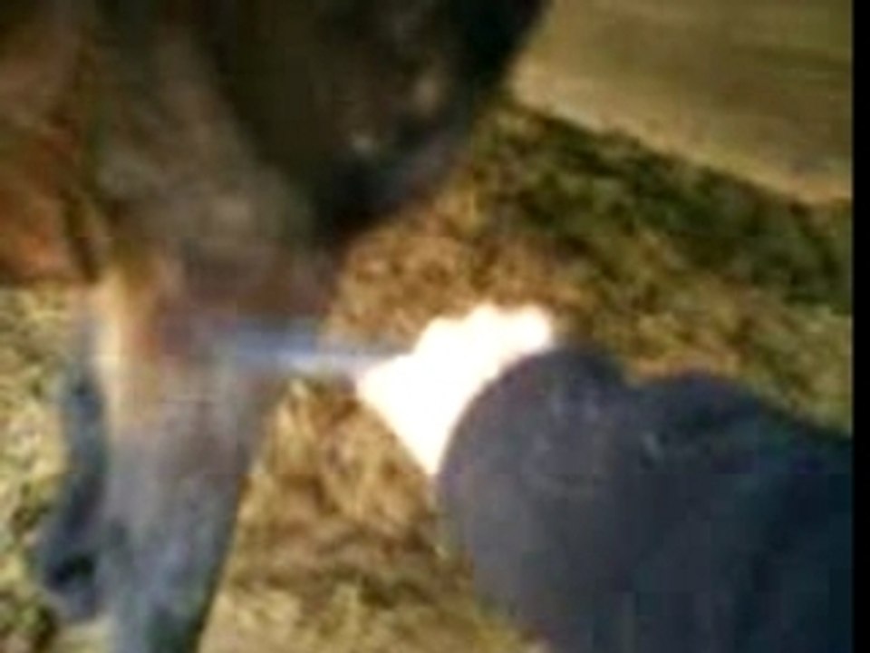 Jambette pepito anterieur droit