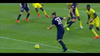 Nantes 0-1 PSG - Goal Edinson Cavani - 03-05-2015