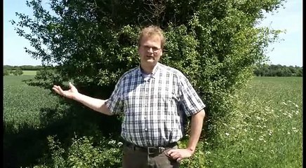 Wachstum und Ertrag. Dipl.Ing.agr. Henning Knutzen  www.terra-aura.de