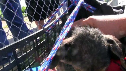 Jordan's Journey - The extended version.