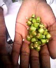 Hamza shahdara ka bacha adha Pao Mirch kha gia ..