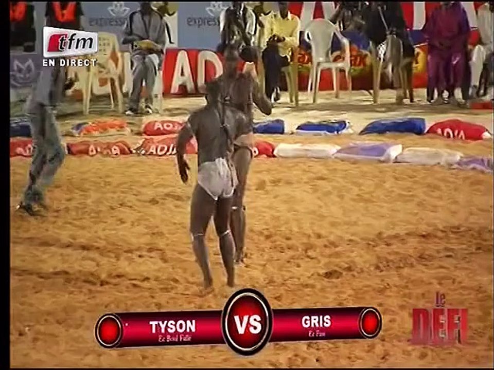 Gris Bordeaux cogne Tyson et le terrasse