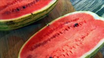 How to Grow Watermelons | P. Allen Smith Classics