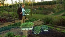 How to Plant Broccoli and Cabbage | P. Allen Smith Classics