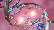 CANCERDIP. DNA Methylation: from Biology to Disease