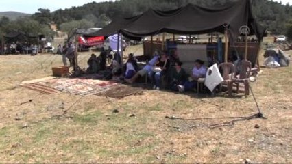 Bodrum Pedasa Festivalinde Eşek Yarışlarına Yoğun İlgi