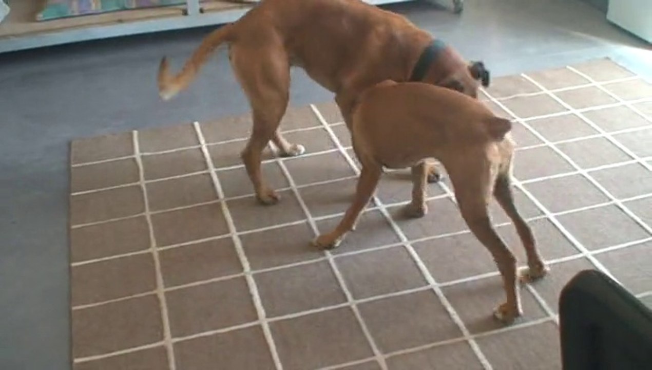 JOYCE ET FUNKY 29-04-2015