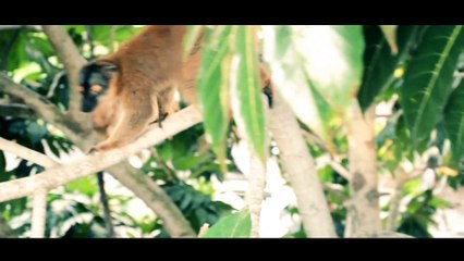 Mayotte - L'Ile Aux Parfums