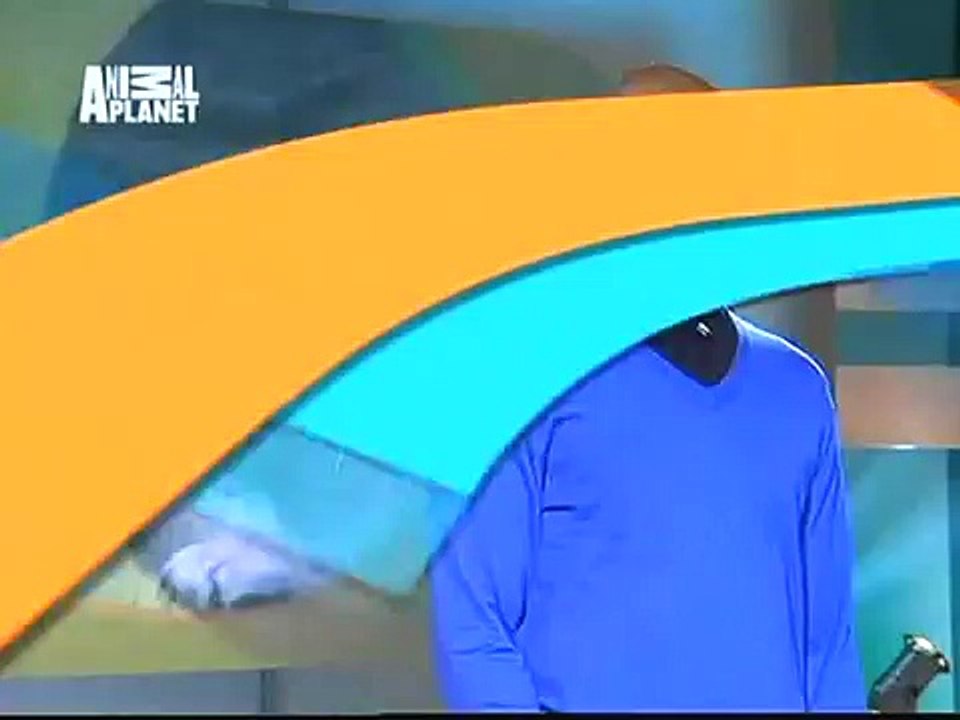 The Planet's Funniest Animals - Dog Jumping [HUNGARIAN DUB] HD