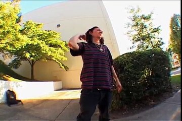 Emerica Stay Gold B-side: Bryan Herman