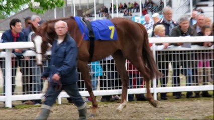 Limoges Couzeix : les courses hippiques