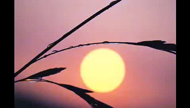 Massenet Meditation from Thaïs, Yo-Yo Ma