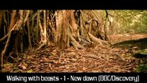 [FRENCH]Walking beasts 1-New Dawn(BBC) (Prehistoric Mammals)