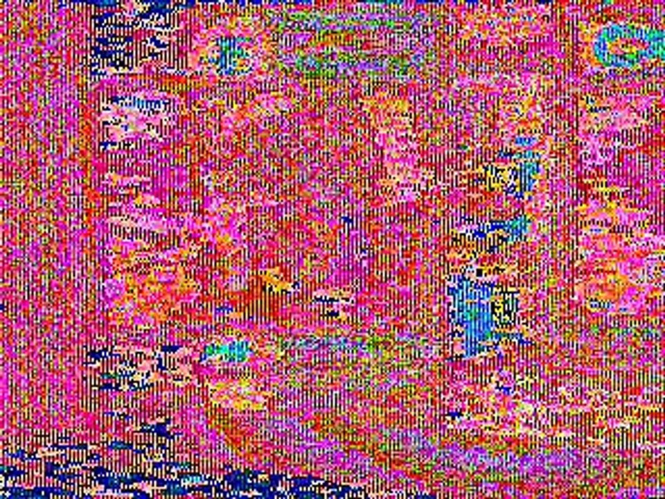 Xena/Lucy Lawless Miscarrige