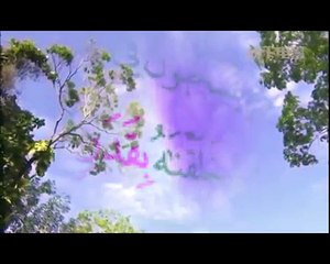 مقطع تسبيح لفضيلة الشيخ محمد المحيسني / 1435هـ