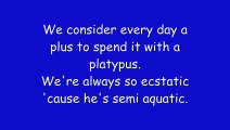 Phineas And Ferb - Everything's Better With Perry Lyrics (HD   HQ)