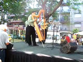 Arpa ,un simbolo de la calidez y nobleza paraguaya