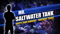 Mr. Saltwater Tank TV Friday AM Quick Tip #140: Holds Like Epoxy and Sets Up Like Super Glue