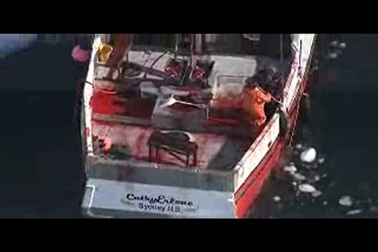 WARNING - IFAW Seal Hunt 2008 - Day 3 - GRAPHIC FOOTAGE