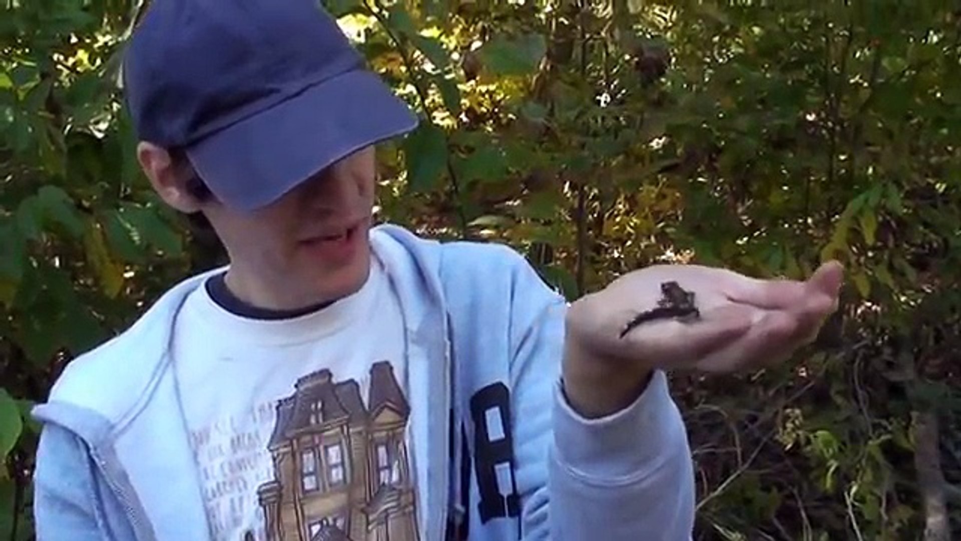 Herping With Dylan: Fall Salamanders