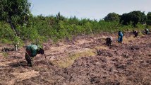 earthrise - Mozambique: Planting a Future