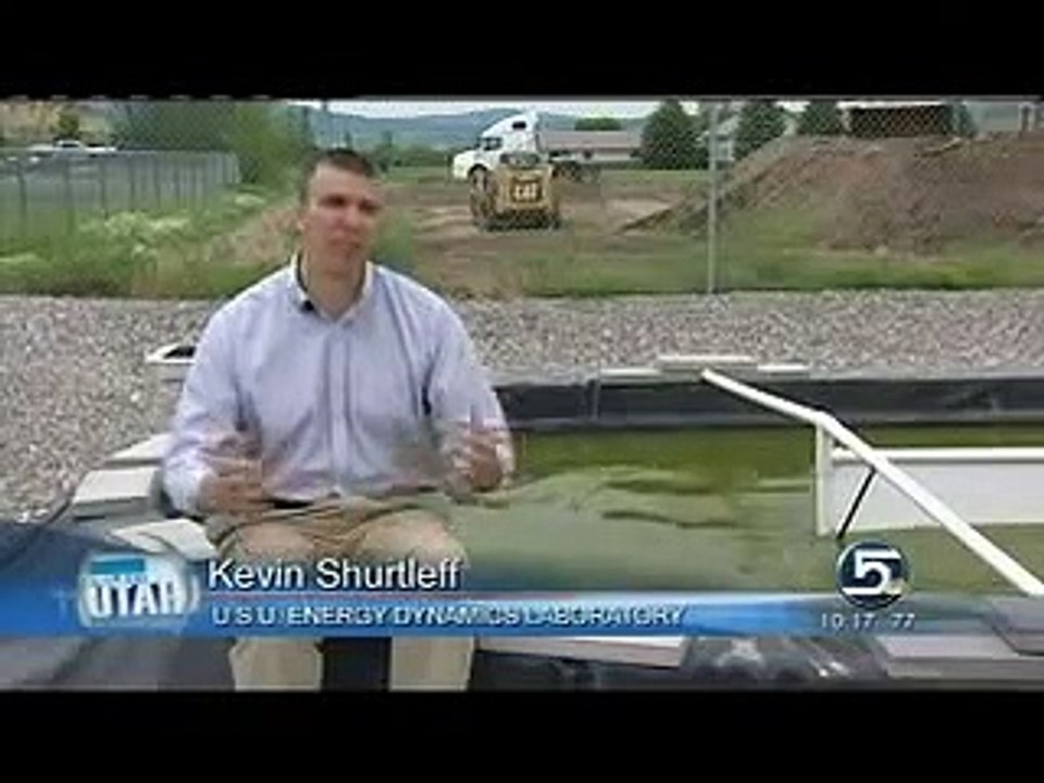 Algae Biofuel Research