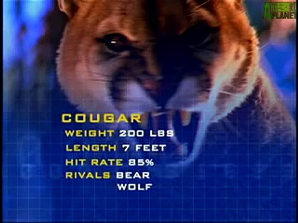 Animal Face-Off: Wolf vs. Cougar