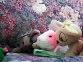 Why Charlie's kidney was stolen