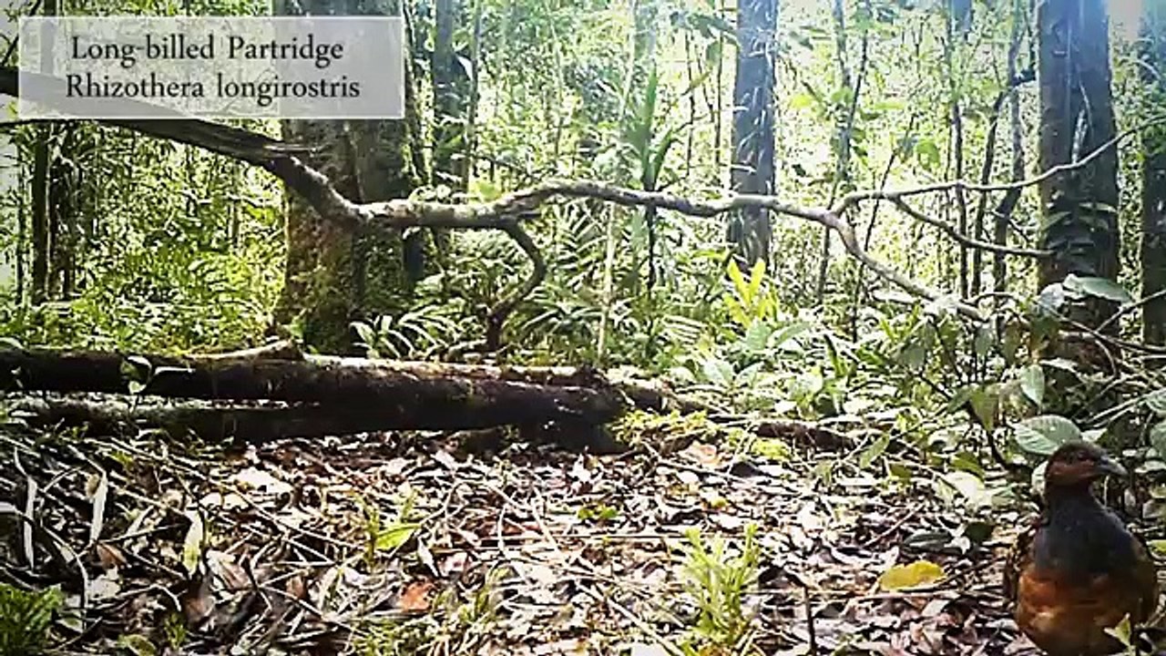 EYES ON LEUSER september 2012