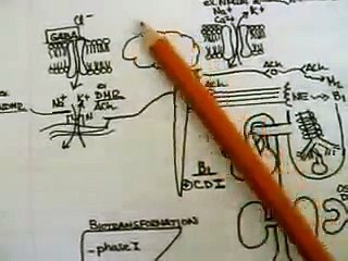 Introduction to Pharmacology