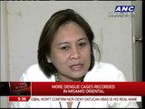 More dengue cases found in Misamis Oriental