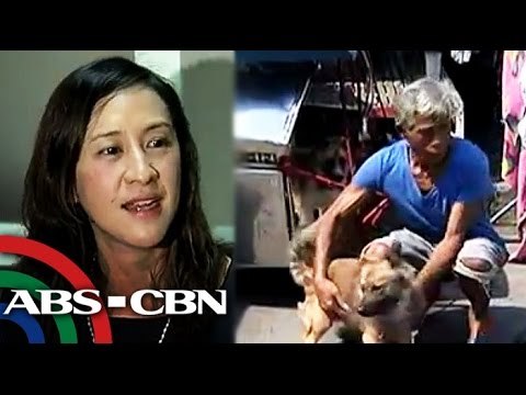 4-pet-rule sa QC, wala nang bisa