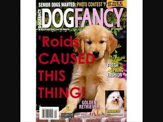 Canine Hyperadrenocorticism (Cushing's) to "Baby Got Back" by Sir Mix A Lot