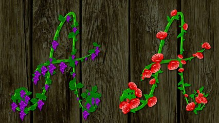 After Effects Project Files - Font Vine - VideoHive 9569155