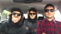 Guys Recreate Pop Hits Through Time In Their Car