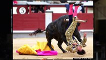 Matadors Gruesomely Injured at Bullfight (NSFW PHOTOS, VIDEO)