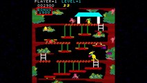 Kangaroo 1982 Sun Electronics Mame Retro Arcade Games