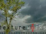 3d Textures time-lapse free alpha trees