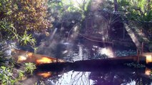 Solar Thermal Geothermal large pond heating with giant Koi Fish hot water GreenPowerScience