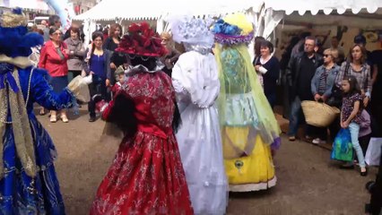 costumes de venise à AUCH 2015-05-03