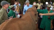 جان کری یاد فیلِ کنیا کرد
