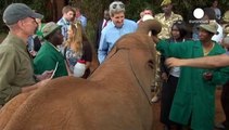 Un bébé éléphant fait un selfie avec John Kerry