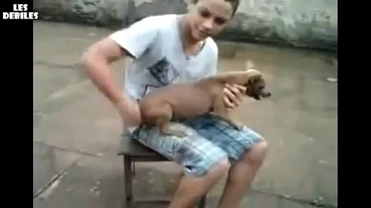 VIDEO Chien à remonter avec la queue