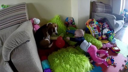 Dog and baby are best friends It's never too late to train your pet to get along with your children