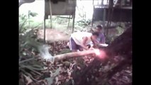 Bursting bamboo