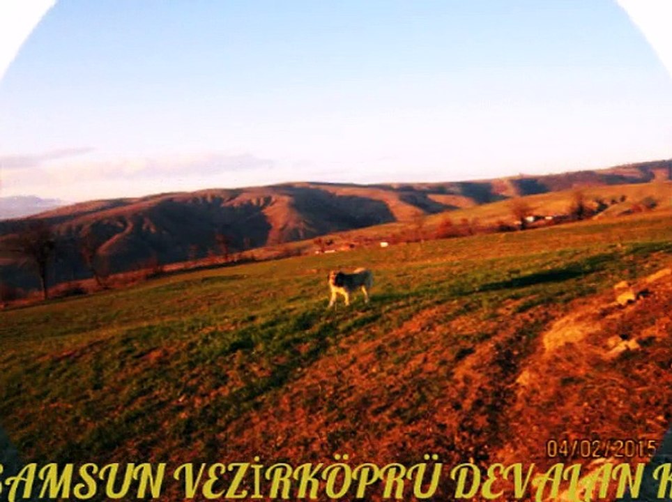 devalan köyü 2 (samsun vezirköprü)