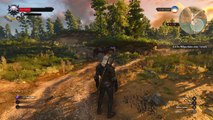 The WITCHER 3 WILD HUNT (PREVIEW) - Gameplay Footage - part 2